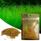 Aquarium Plant Seeds Fish Tank Aquatic Water Grass Foreground Easy Plants Decora