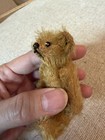 Early Steiff Miniature Golden Teddy Bear 3 5    C1900s Glass Eyes No Button