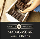 10 Organic Madagascar Whole Vanilla Beans  Grade A Vanilla Pods  Premium Vanilla
