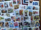 Australia Collection mixture  stamps High Values On Paper  295 No Different