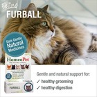 Feline Furball  Safe And Natural Hairball Medicine For Cats  Natural Pet Medi   