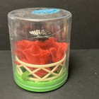 New Solar Powered Dancing Toy Bobblehead - Dome -  Butterfly With Red Roses