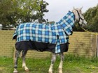 1200 D Waterproof Horse Combo Rug 300g Fill Winter Rug  Assorted Colors