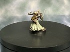 Painted Male Ranger Swords Miniature Dungeons   Dragons Pathfinder 28mm Fantasy