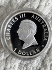 2025 Australia Kangaroo 1 Oz Silver High Relief Colorized Proof Coin
