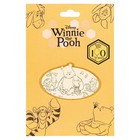 Disney Winnie The Pooh And Friends Classic 100th Anniversary Enamel Pin