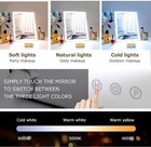 Hollywood Vanity Mirror With Lights   10x Magnification  3 Whites  Dimmable