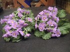 Set  2 Vintage 60s Plastic African Violets Flower Plant  Lavender Violet Flowers