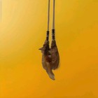 Medium Vintage Native American Hanging Dreamcatcher Southwest Art Web   Bead