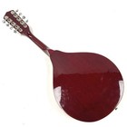 Kona Signature Mandolin