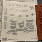 Stampin Up    botanicals For You    141237 Rubber Stamp Set Of9  Floral Phrases   