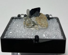 Perfectly Formed Glossy Anatase Crystal On Matrix From Pakistan