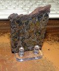 115 Gm Sericho Pallasite Meteorite Thick Slice From Kenya Stand Olivine Jal