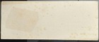 Brown s Bronchial Troches Boston Patent Medicine Advertising Ink Blotter 1900s