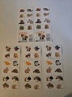 Usps Pets Forever Postage Stamps Scott 5106-5125 5 Books 100 Total Stamps Mnh