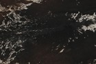 New Cowhide Rugs Area Cow Skin Leather 20 61 Sq feet  56 x53   Cow Hide U-1309