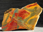 2 X Cherry Creek Red Creek Jasper Slab Lot  Agate Lapidary Rough Slab Cabbing 2