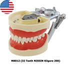 Dental Typodont Model Mounting Pole 28 32 Teeth Kilgore Nissin Columbia Frasaco
