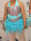 Costume Gallery 2 In 1 Costume Girls 5 6 Sequin Tutu Skirt Blue Ballet Tap Dance