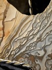 Blue Mountain Biggs Jasper Slab Unpolsihed Specimen