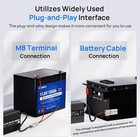 12v 20a Lithium Battery Smart Charger With Battery Quick Connector Led Indicator
