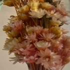 Vintage Lucite Straw Flower Mid Century Modern Decoration 7 X 2 5 Inch Resin