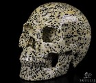 5 0  Dalmatian Jasper Carved Crystal Skull  Realistic  Crystal Healing