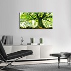Kreative Arts Canvas Large Art Print Spring Forest Nature 40 l X 20 w  Green