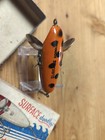 Vintage Trenton Bait Co  Surface Doodler Wood Fishing Lure  Rare Bait  Mint Ib