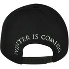 Game Of Thrones Stark Dire Wolf Winter Is Coming Snapback Hbo Tv Show Hat Cap