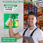 Portable Eyewash Station Wall Mounted 16oz Dual Nozzle Emergency Eye Wash