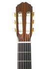  takamine  Takamine  classical Guitar  No 100fh Made In 2021 1 Week Warranty