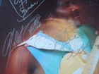 Albert Collins Record Lp  Autographed By Collins And Band