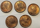 Ceylon 1904 Half Cent Copper Coins Set Of 5 Unused Near Mint