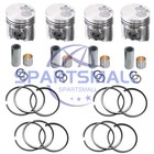 4d95s 4d95s-w-1g Engine Rebuild Kit Overhaul Repair Parts For Komatsu Engine