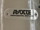 Ayotte 14 X 5 5 Professional Maple Ds Snare Drum With Dunnett Throw