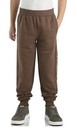 Carhartt Sweatpants Youth Kids S m l xl Brown Fleece Graphic Logo Print  New Nwt