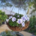 Coco Coconut Liners 12 14 16 20   Round Fiber Hanging Basket Replacement 2 Pcs