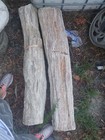 Large Petrified Wood Log