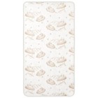 Dream On Me Twinkle 5  80 Coil Spring Crib   Toddler Bed Mattress