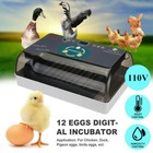 12 Egg Incubator For Hatching Digital Chicken Quail Hatcher Automatic Turning