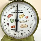 American Family Scale Avocado Green Rustic Country Farm Kitchen Food Decor Vtg