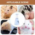 Hamster Water Bottle Water Dispenser With Stand For Ferret Small Animals Rat