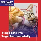Feliway Multicat Cat Calming Diffuser Refill  3 Pack  90 Day Supply       Helps Re