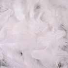 White Rooster Feathers 900pcs 3-5  Bulk Natural Feathers For Diy Crafts  Wedding
