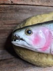 Gemmy Travis Trout Animated Singing Fish Wall Plaque Battery Operated 