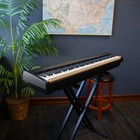 Roland Fp-30x Digital Piano - Black Bonus Pak