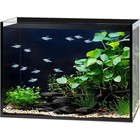 3 Gallon Clear Glass Fish Tank Small Fish Tank Aquarium For Betta Goldfish Snail