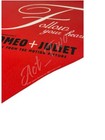 Vintage 1997 Rare Romeo   Juliet Music Soundtrack Promo 3m Floor Sticker Limited