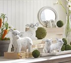 Set Of 2 Pig With Glasses Decorative Figurine From Raz